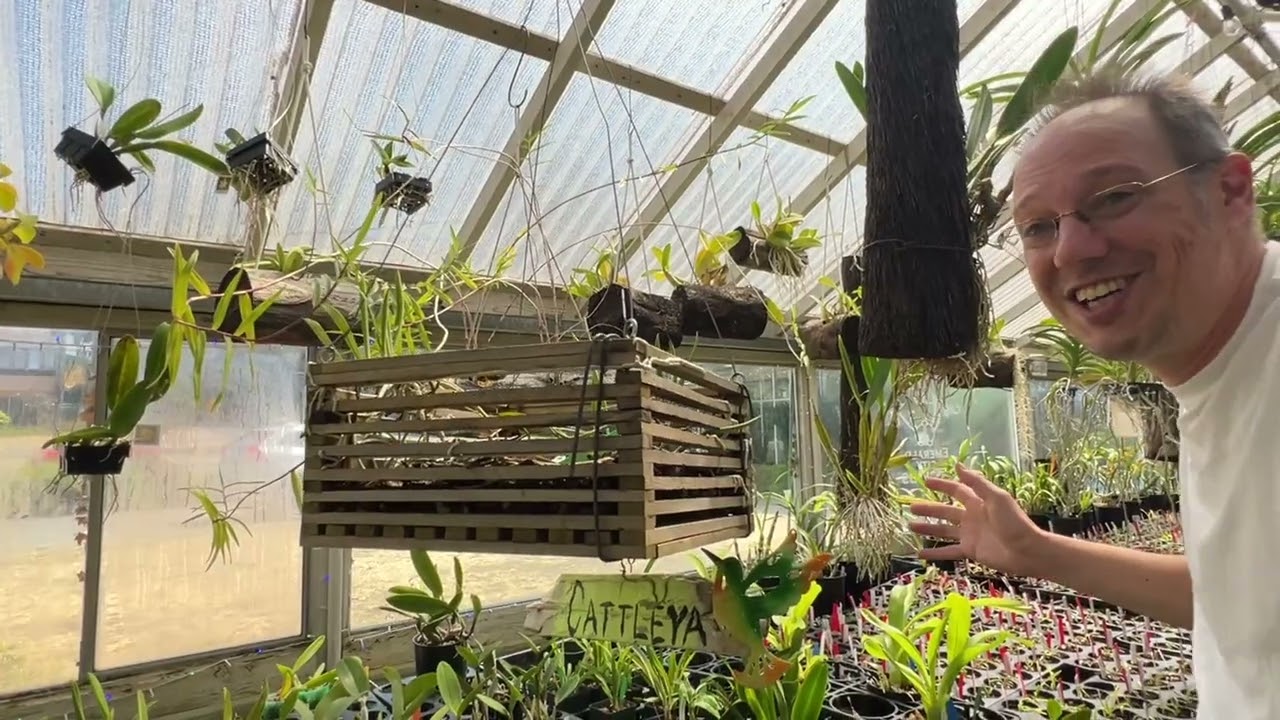 Visiting @emeraldcityorchids1420 with @orchidsinparadise2438 : when three orchid nerds are together…