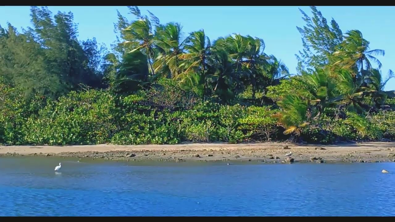 Bay Scenery [Samsung Galaxy A15]