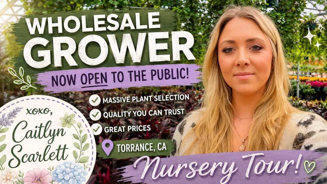 HIDDEN GEM!!! ✨ Tropical Greenhouse & Nursery Tour!