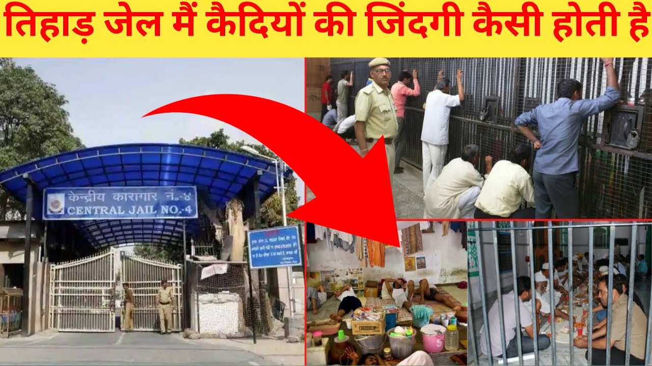 तिहाड़ जेल मैं कैसी होती है, कैदियों की ज़िंदगी | Tihad jail | The One Dream