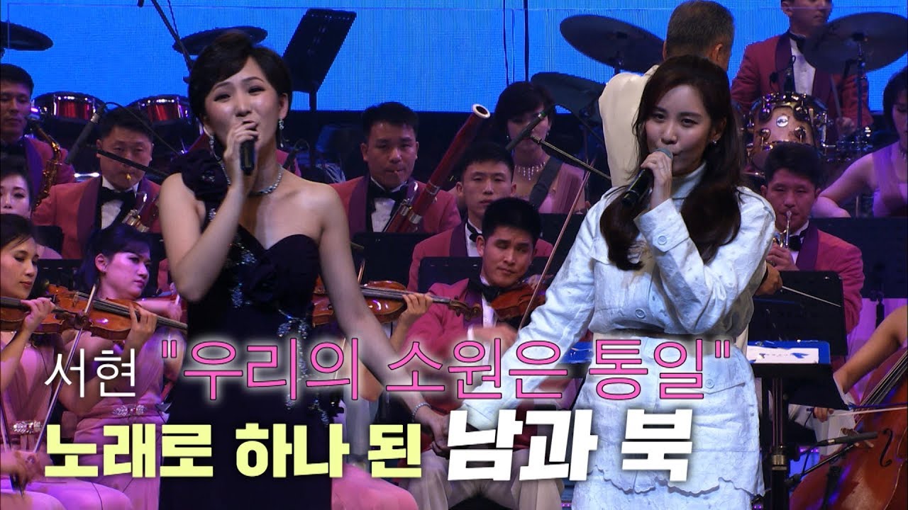[북한 예술단 서울 공연] 소녀시대 서현 