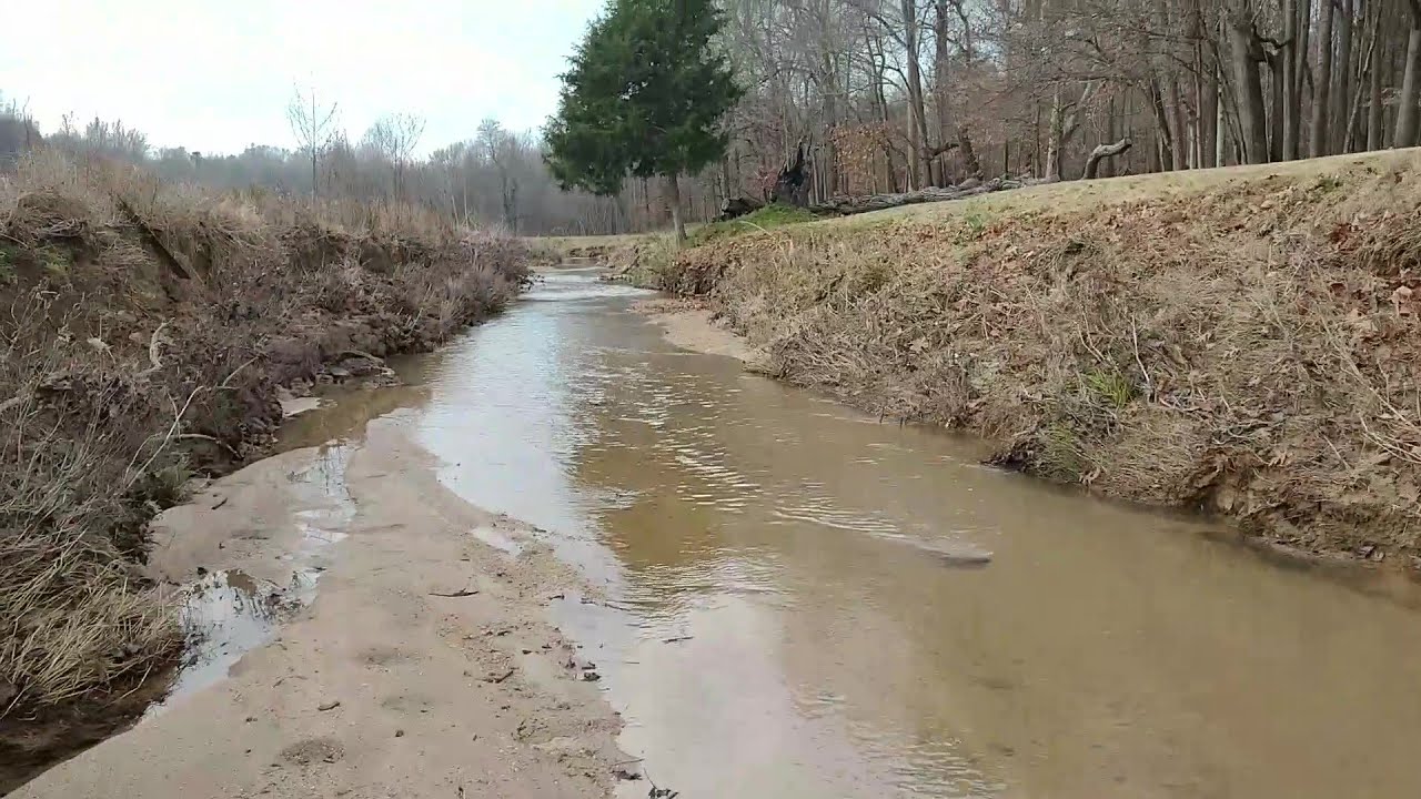 Prospecting Reedy Creek