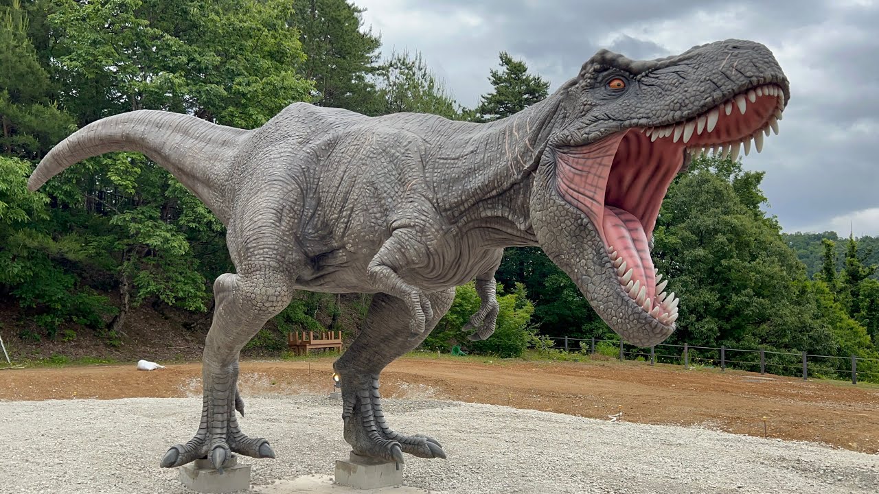 KATUYAMA DINOSAUR FOREST PARK#かつやま恐竜の森🦕#FUKUI PREFECTURAL DINASAUR MUSEUM#福井県立恐竜博物館🦖