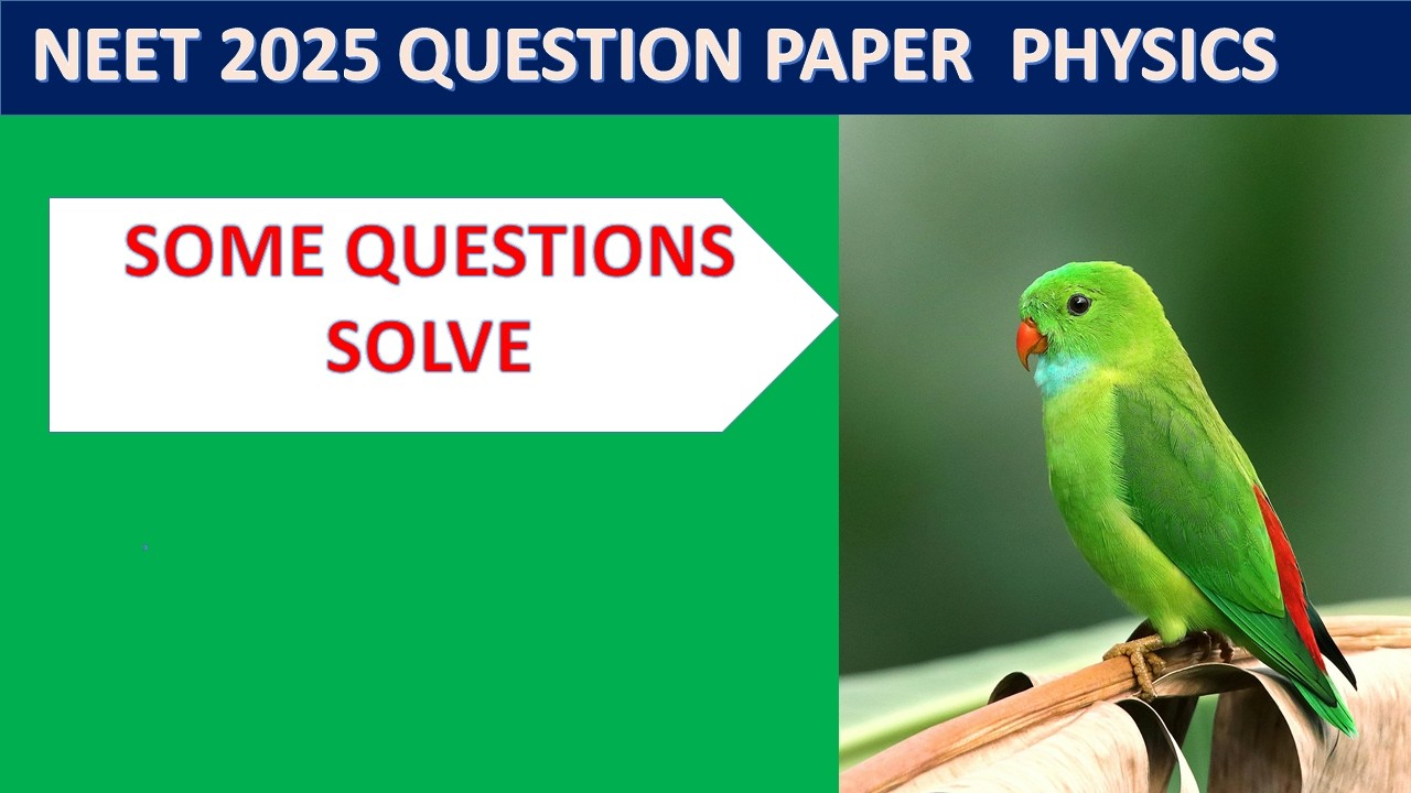 NEET 2025 PHYSICS SOLVE