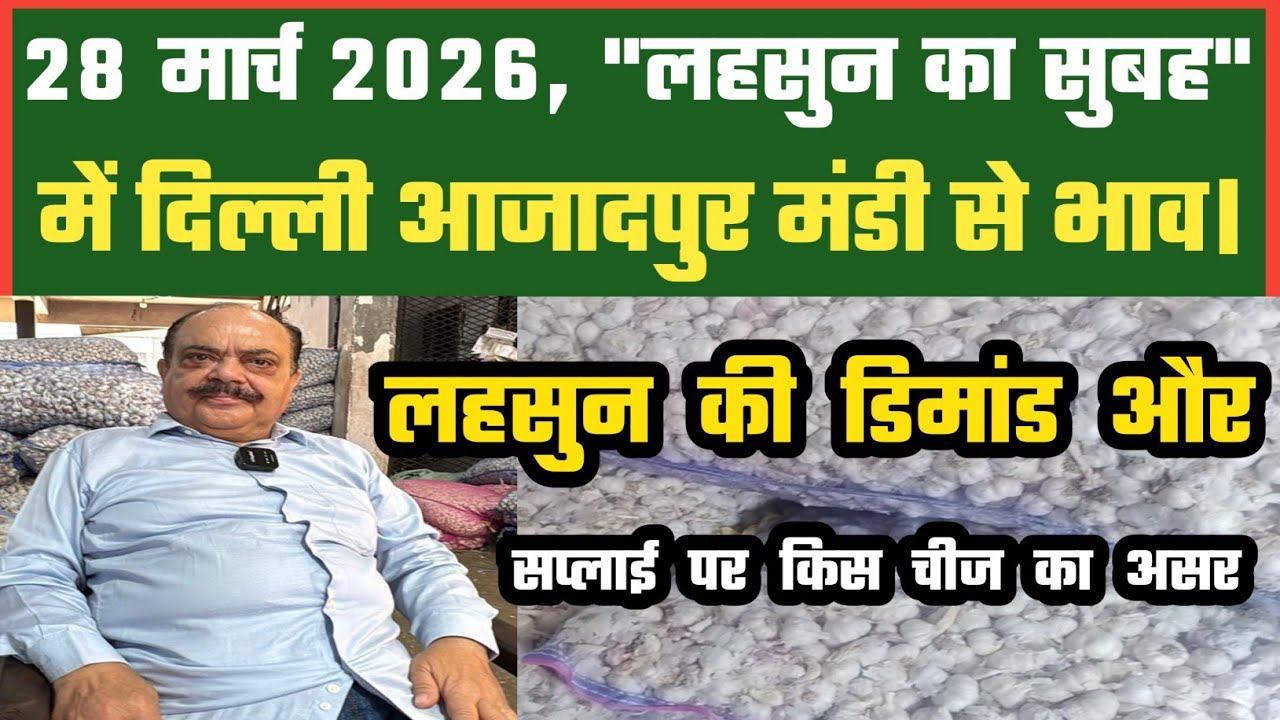 लहसुन में डिमांड और सप्लाई कैसी ? Azadpur Delhi Mandi Today 28-03-2026 को बने ऐसे Garlic Price DMTTV