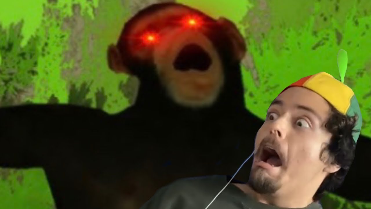 POV You&rsquo;re a Monkey REACTION