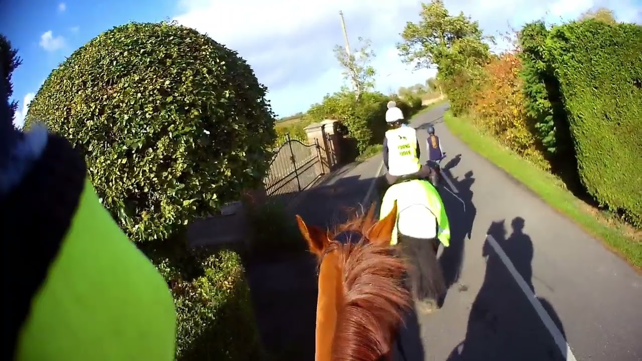 Harry Reggie Hack 28/10/25