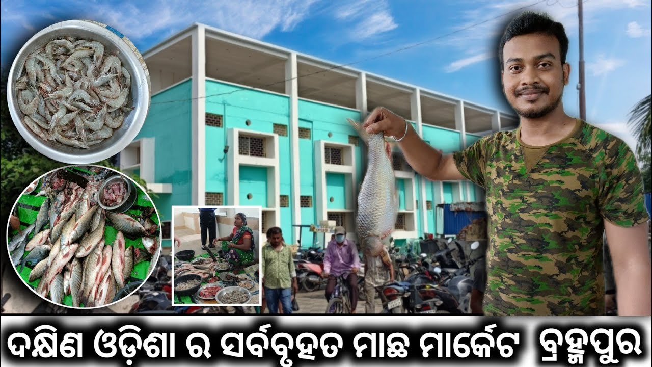ଦକ୍ଷିଣ ଓଡ଼ିଶାର ସବୁଠୁ ବଡ଼  ବ୍ରହ୍ମପୁର ମାଛ ମାରକେଟ୍| 🦈🐟🎣🐠