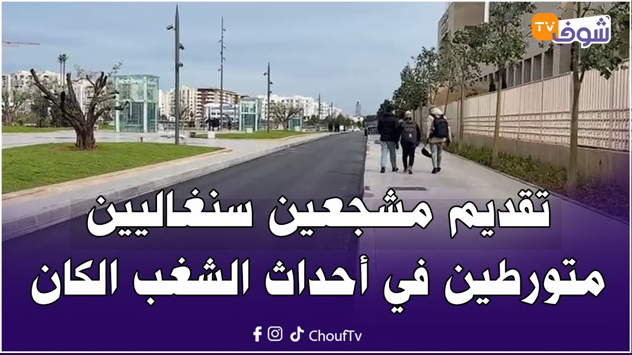 عاجل من أمام قصر العدالة بالرباط.. تقديم مشجعين سنغاليين متورطين في أحداث الشغب في نهائي الكان