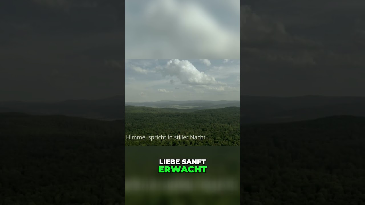 Stille Nacht auf dem Berg: Ewiges Wort und unendliche Stille 