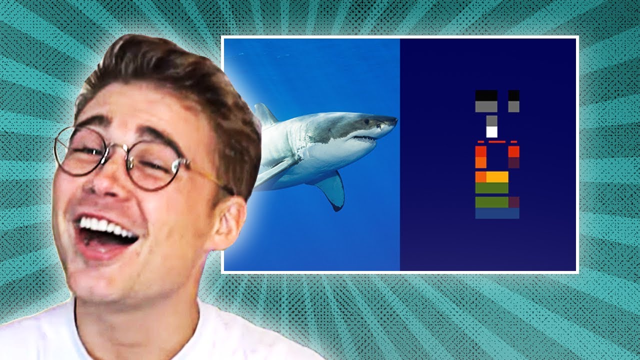 Shark Facts You