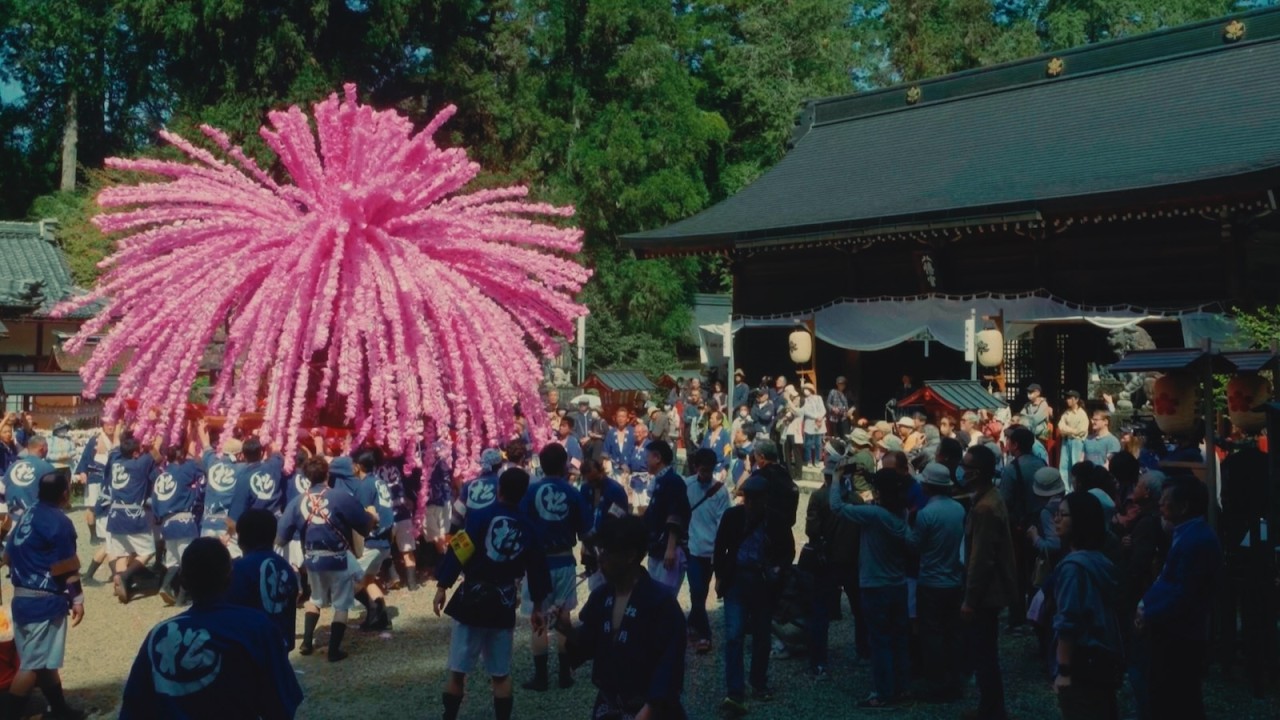 PAPER BLOSSOMS AND CHAOS IN MINO | 美濃まつり