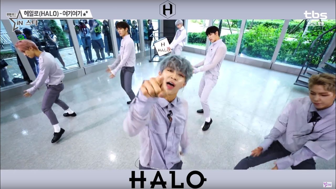 [팩트M/V] 헤일로 (HALO) - 여기여기