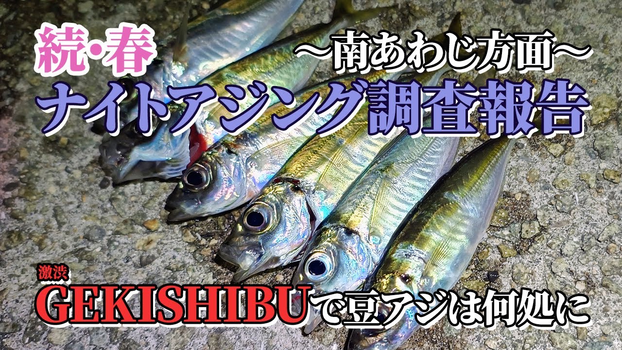【アジング】続・春 ナイトアジング調査報告！GEKISHIBU(激渋)で豆アジは何処に！？【南あわじ／淡路島】