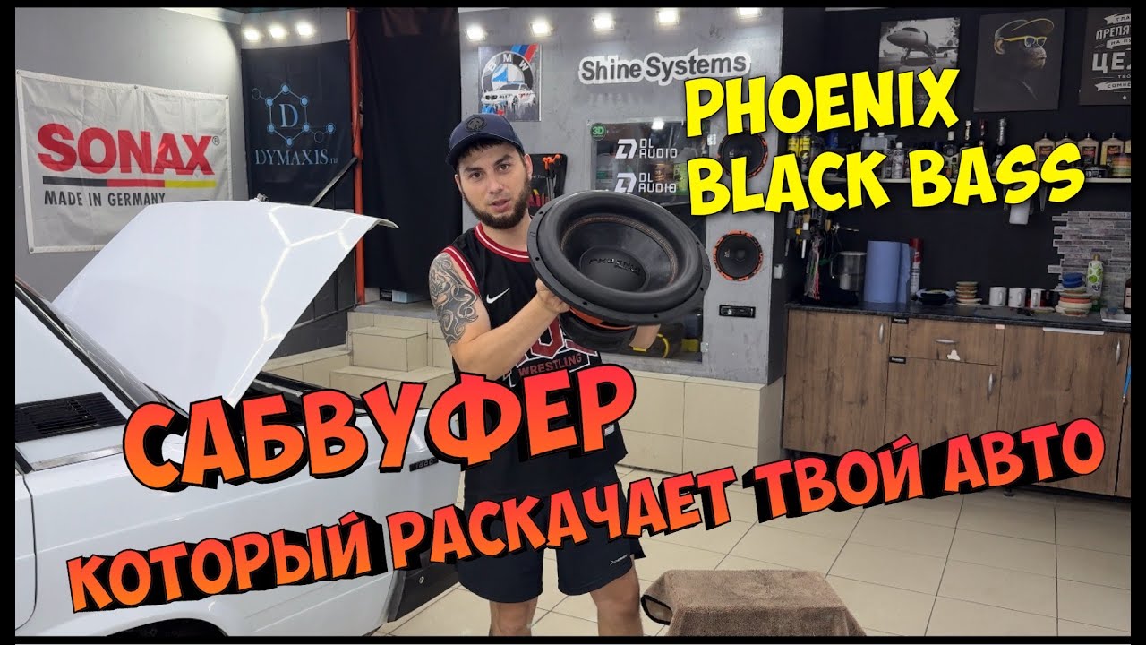 МЕГА БАСС PHOENIX BLACK BASS 15