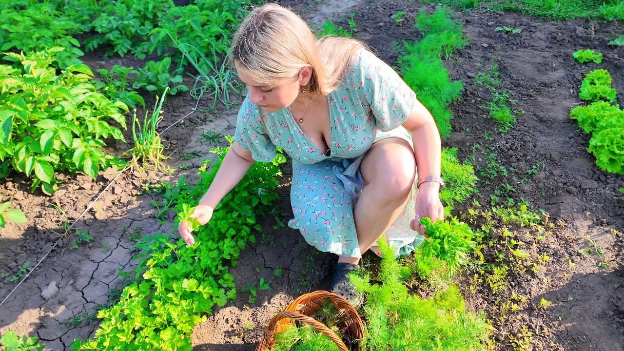 Ukrainian Village Life | Rice Soup on Open Fire | Relaxing Outdoor Cooking ASMR