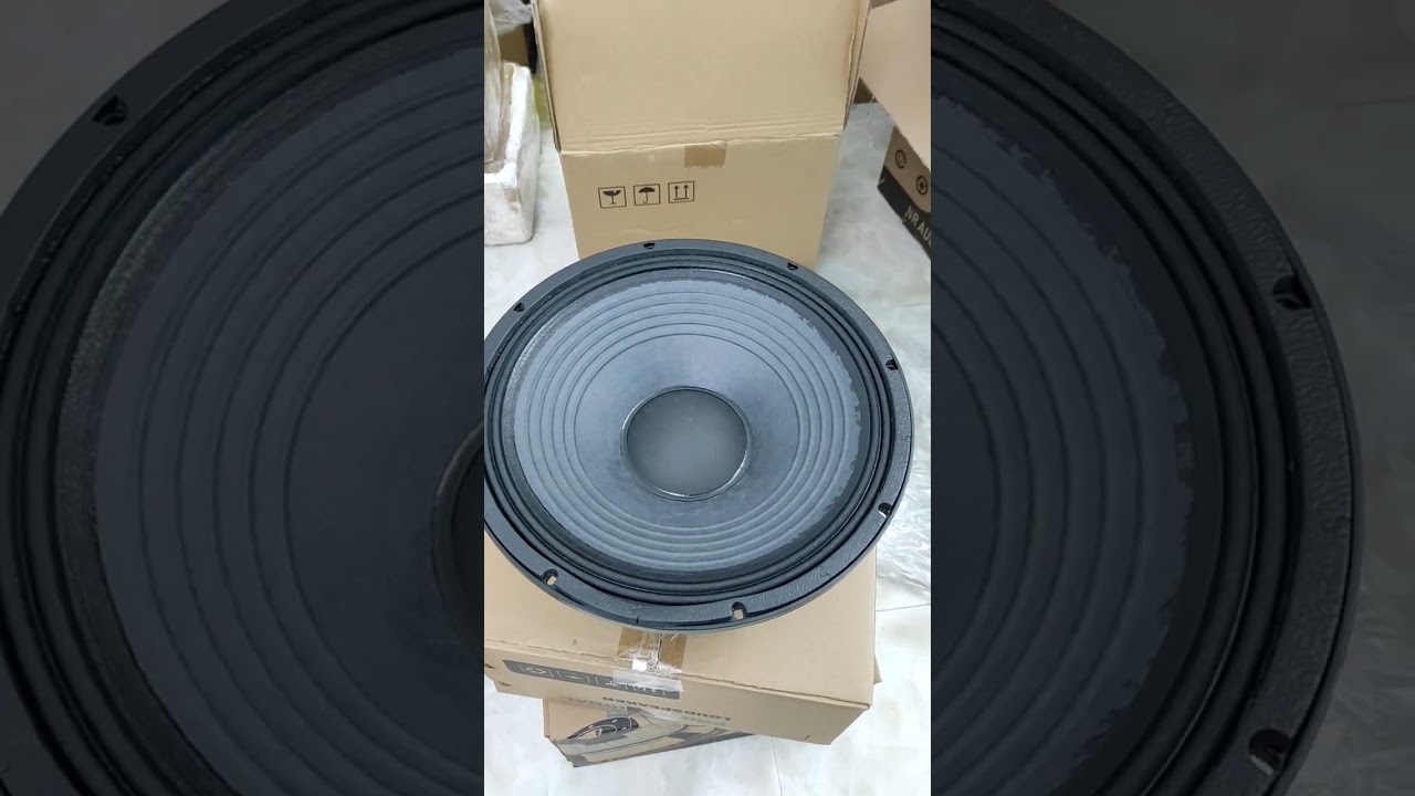 Đẳng cấp bass 40 nr 335 tiếng cực hay | Th&agrave;nh Loa 0984891927