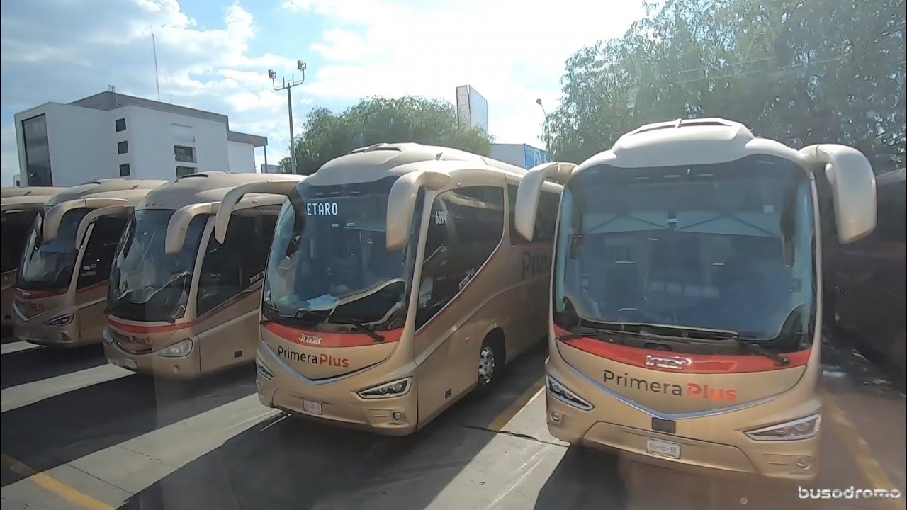 Primera Plus Scania Irizar i8 - #autobusodromo 