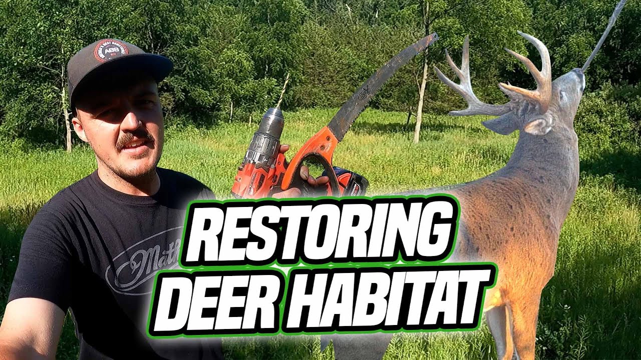 Restoring Native Habitat For BETTER Deer Hunting!