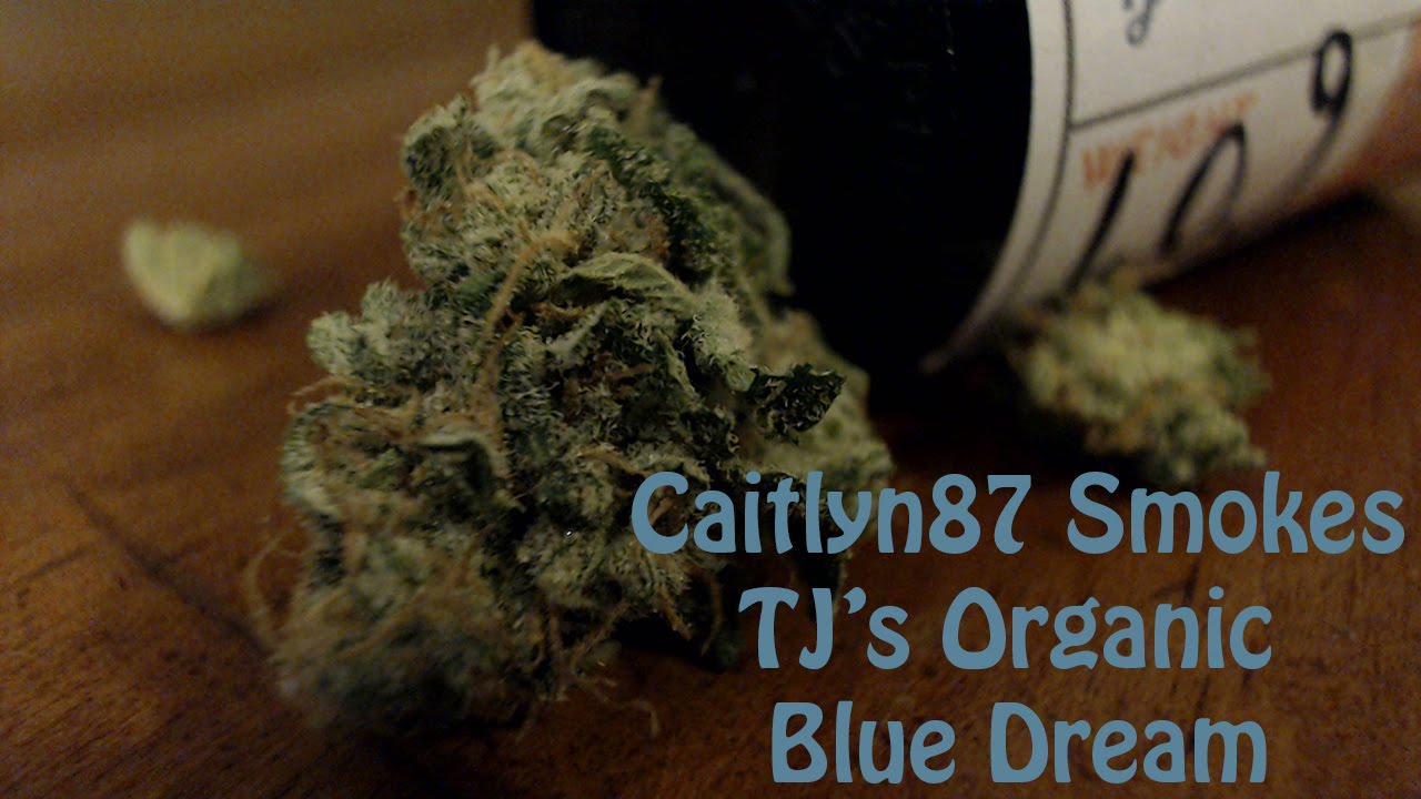 Caitlyn87 Smokes - TJ's Organics Blue Dream