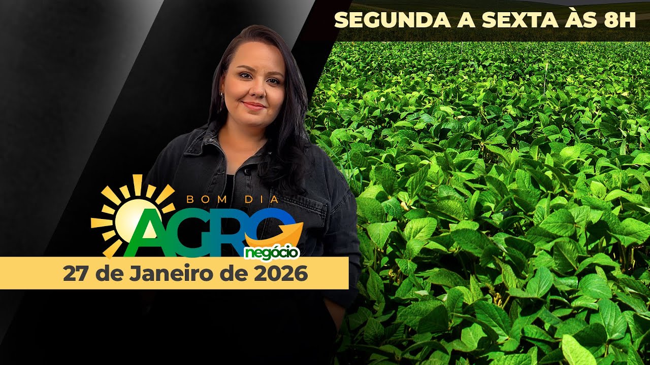 BOM DIA AGRONEGÓCIO - A política em foco e os preços ajustados