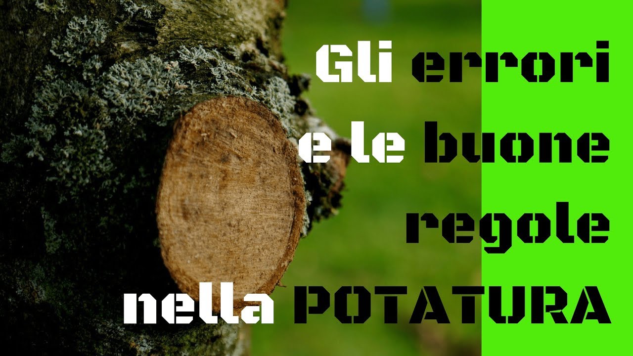Gli errori e le buone regole nella potatura