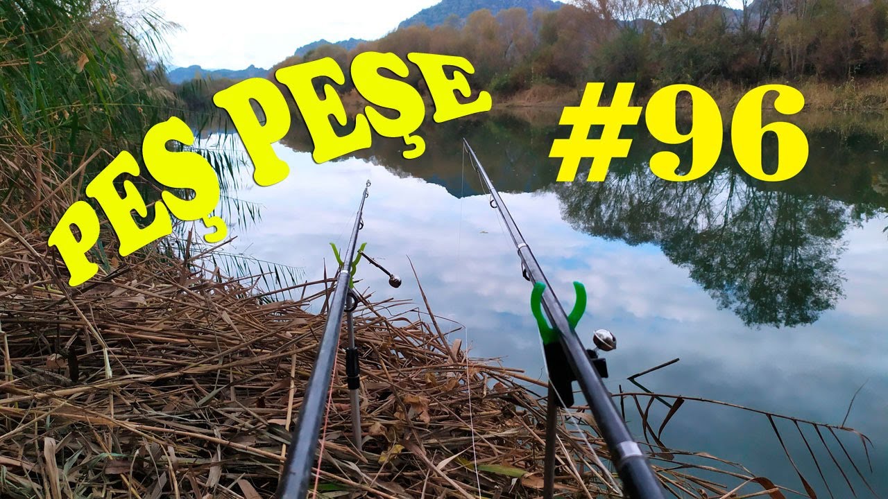 Peş Peşe BALIK AVI.Dip Oltası İle.KEFAL AVI.KASNA AVI.Catch Fish.Chub Fishing.river hook.rod #96
