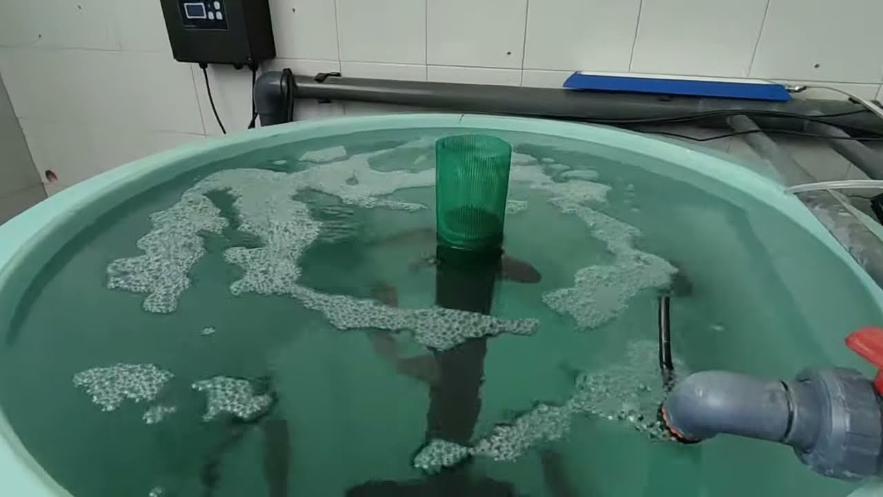 SIstemas de Acuicultura Recirculante (RAS) en la ETSIA