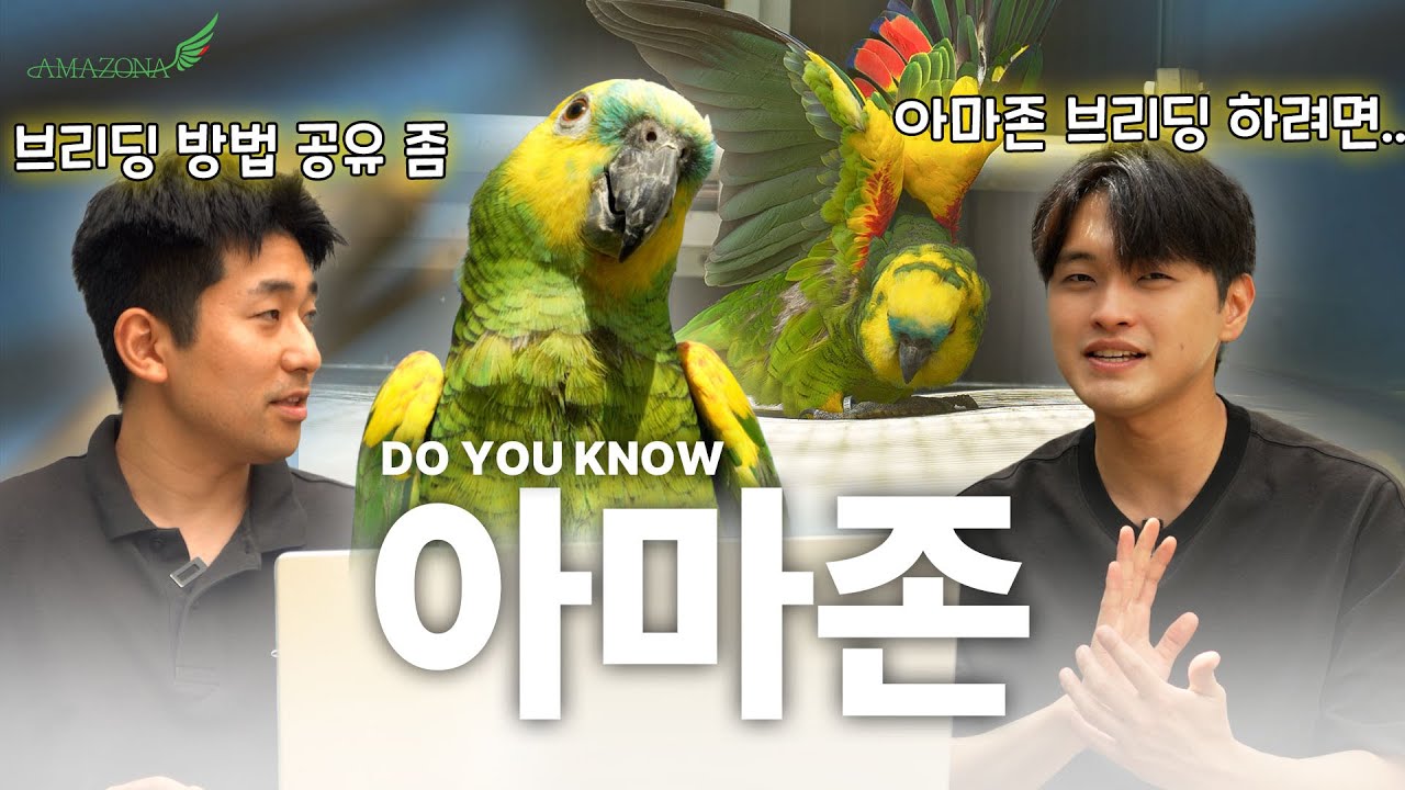 아마존 앵무새 번식 비밀! 브리더가 알려주는 실전 사육법