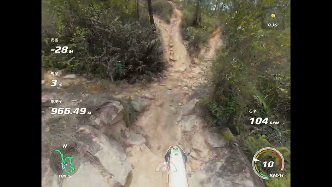 314a(pov)單單逆上樹林