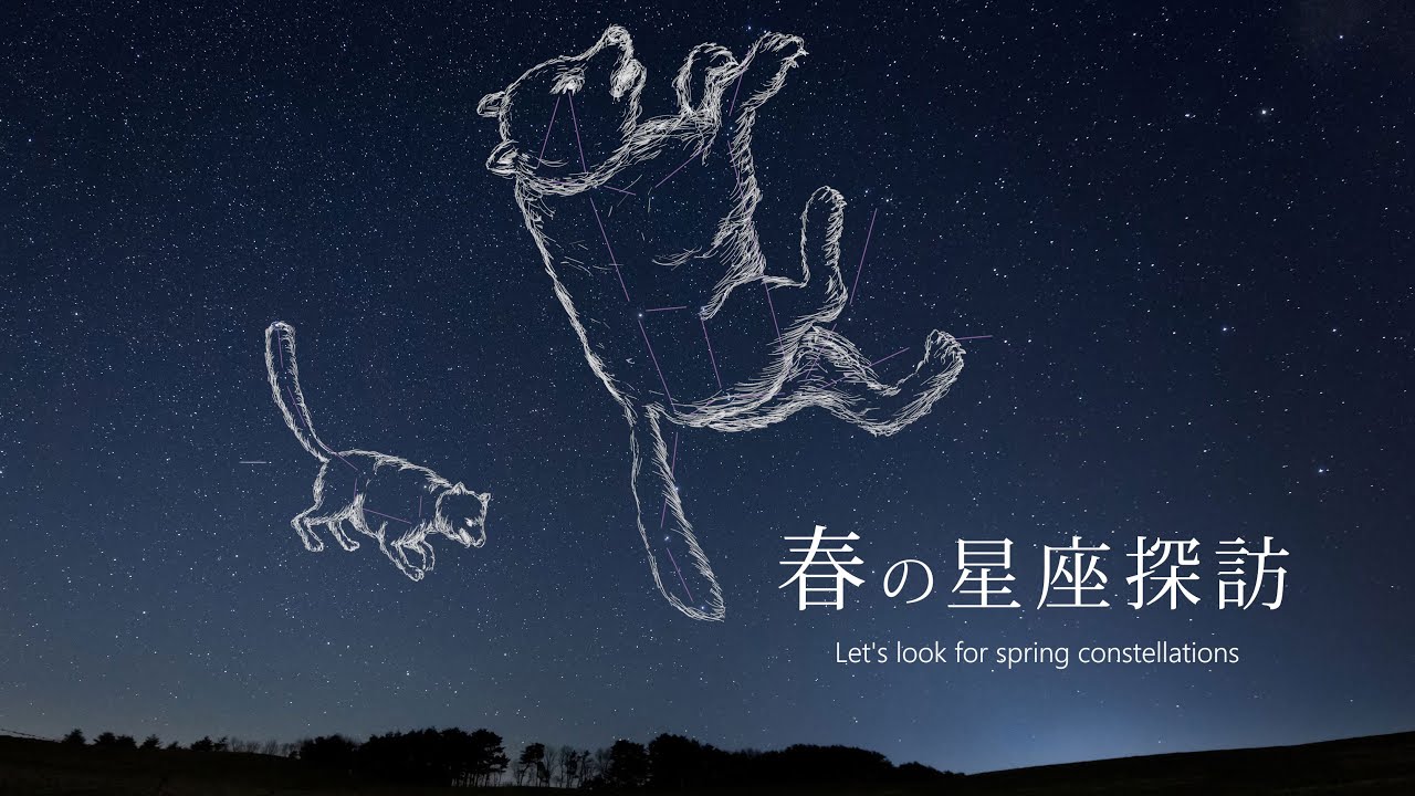癒しの星空風景【春の星座探訪】 タイムラプスで綴る春の星座 Time Lapse Spring constellation 2021 4K