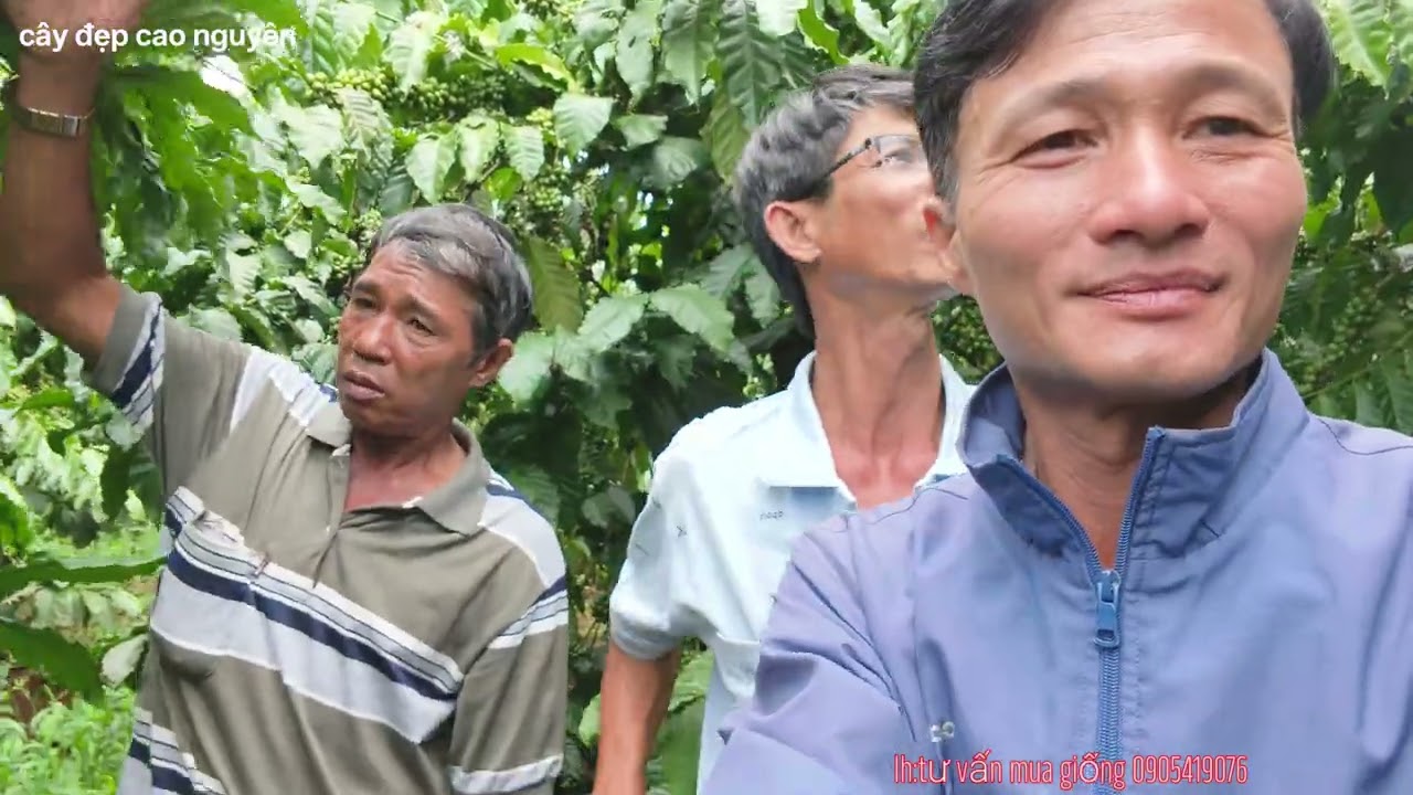 Anh em đồng nai cùng trải nghiệm bốn mặt giống cà phê 