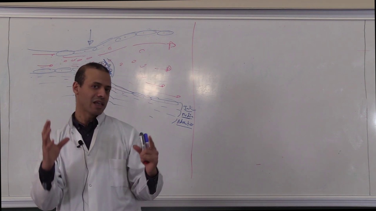 2ème année_Cours Hémostase 2 : Coagulation + fibrinolyse_Vidéo 1_partie 1//2019-2020
