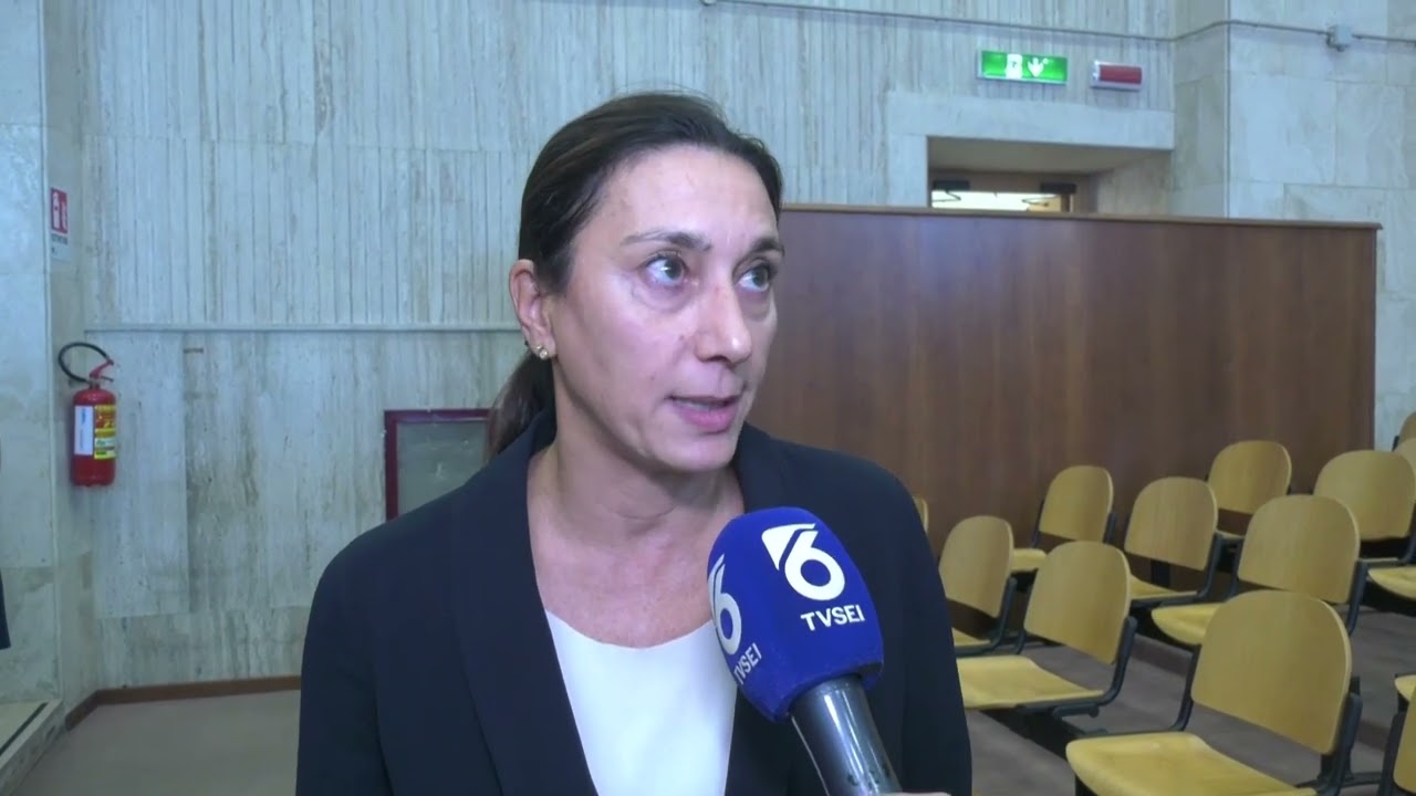 Omicidio strada parco: in aula Cavallito