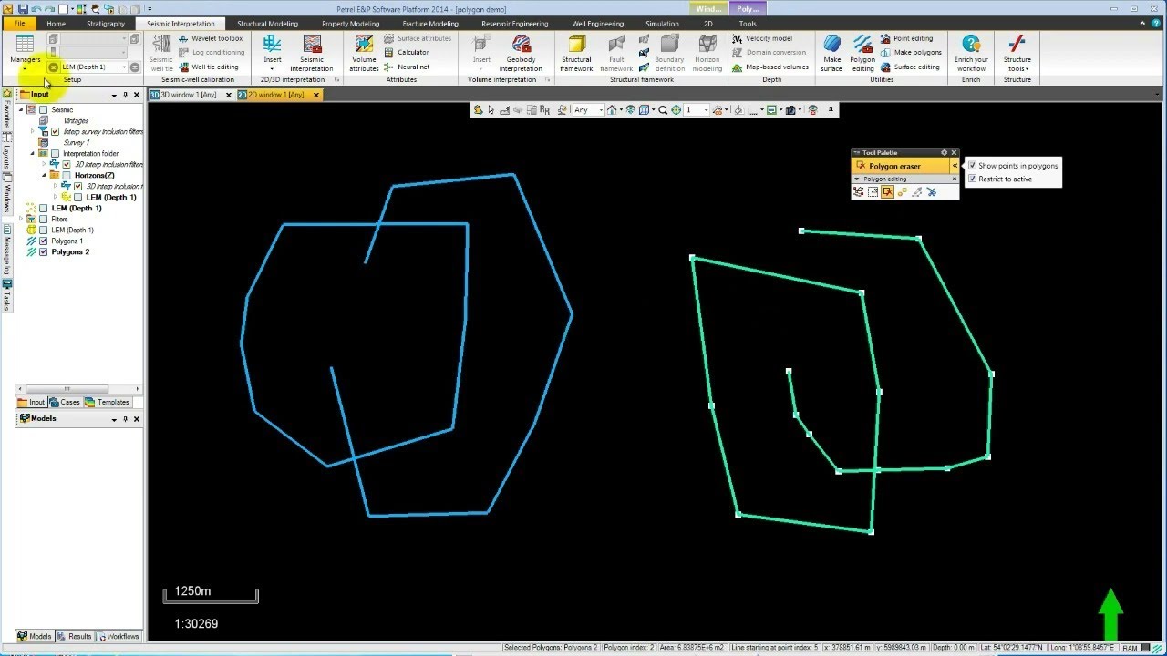 How to Use the Polygon Tool in Petrel | Step-by-Step Petrel Tutorial