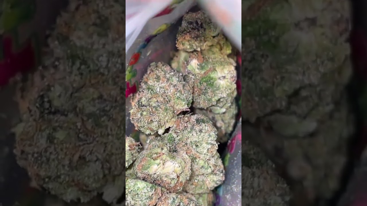 Sweet Tartz (Rainbow Cut) - By : Frutaz #HeavyyyyZterpzz