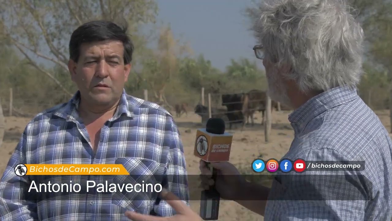 Antonio Palavecino, pequeño productor ganadero de El Quebracho, Formosa