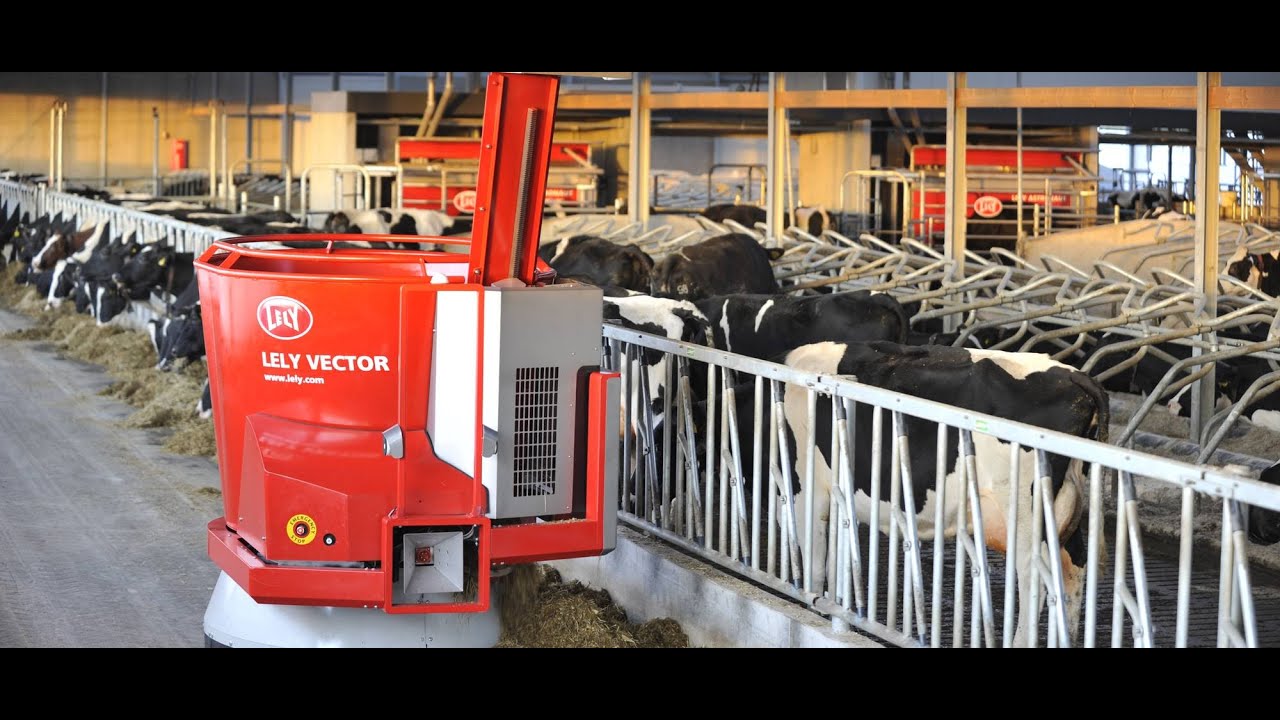 Industria lechera en Holanda, 2 parte -  Alimentos y Regiones