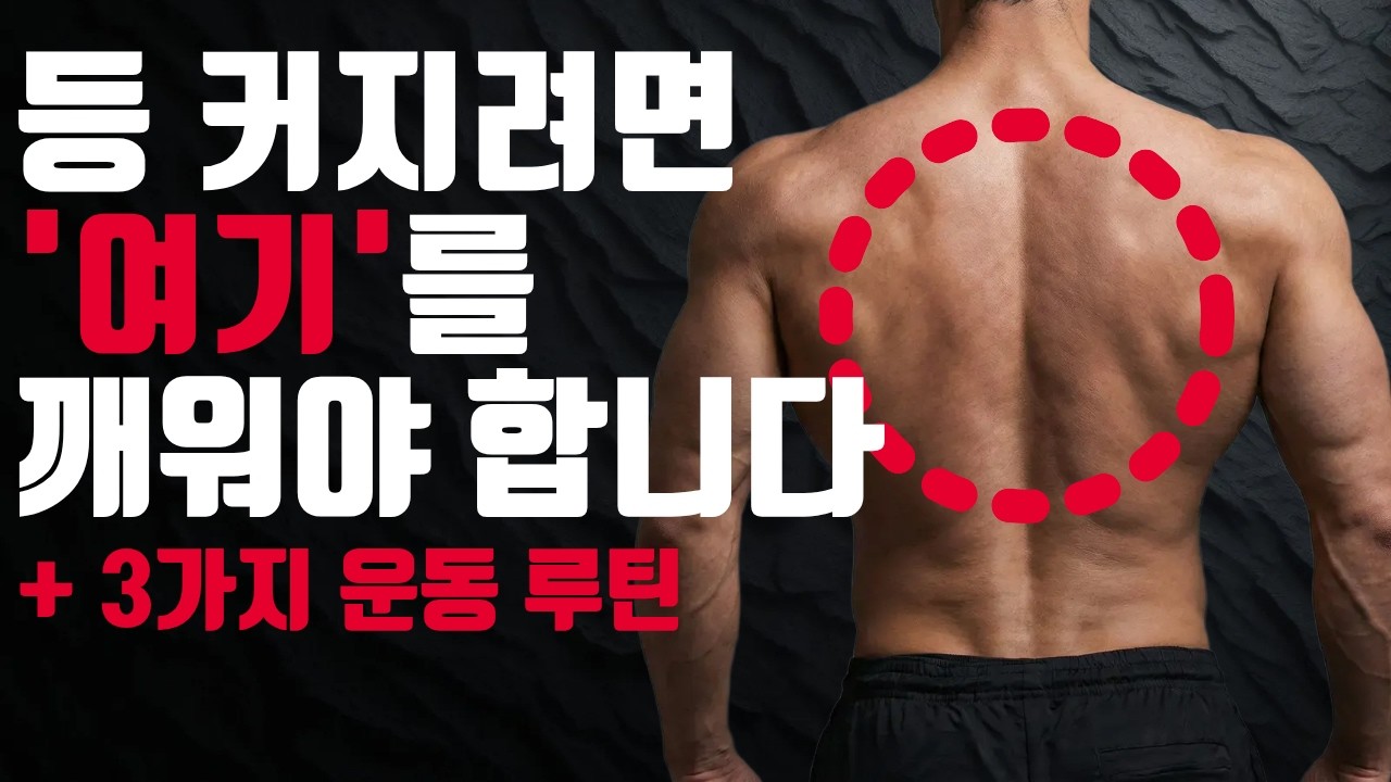 죽어라 등운동 해도 등이 커지지 않았던 이유와 해결방법 3가지 part.1