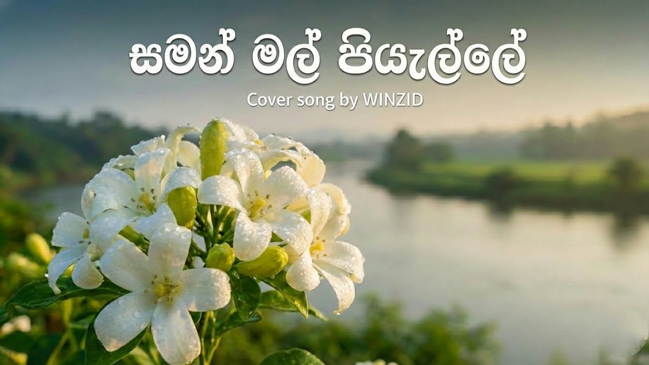 WINZID - Saman mal piyalle (සමන් මල් පියැල්ලේ) Cover Song