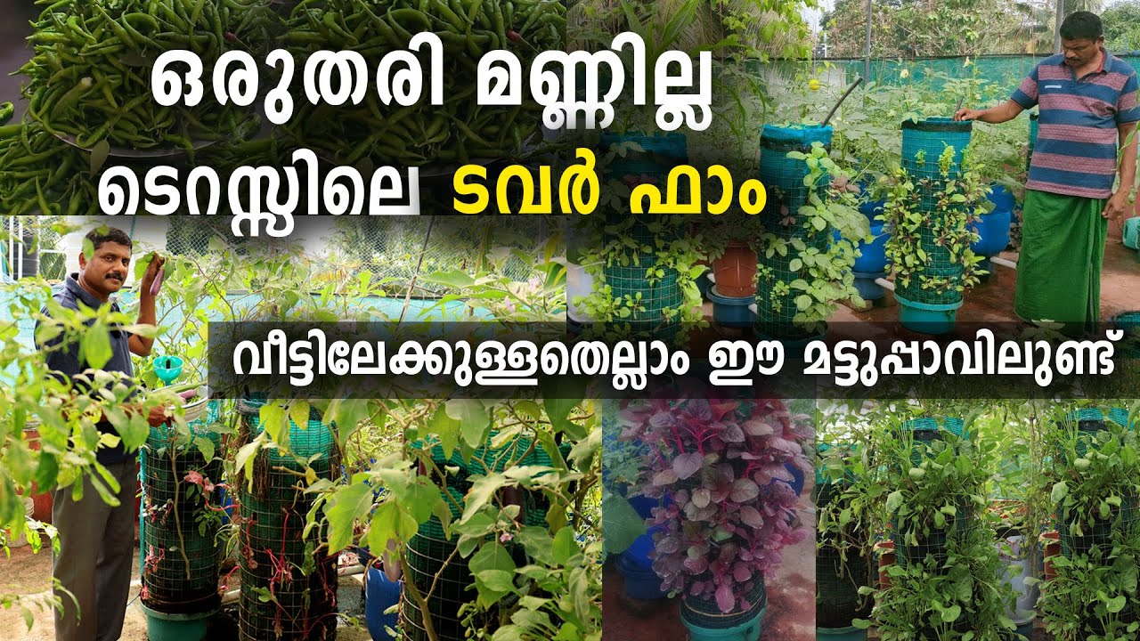 ഒരു തരി മണ്ണില്ല ടെറസ്സിൽ ടവർ ഫാം ഒരുക്കി സുധീർ | Soilless Tower Farm in Terrace