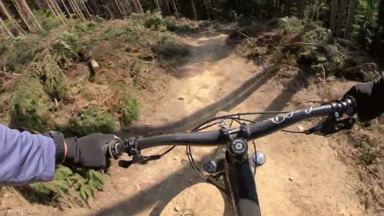 Bikepark Kasina -trasa Dzika