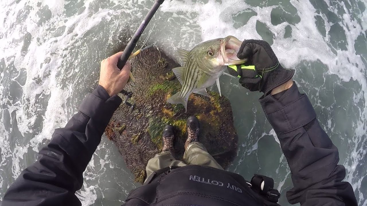 Surf Stripers and Blitzing Shore Albies - All Day Fishing The End FA Lifestyle