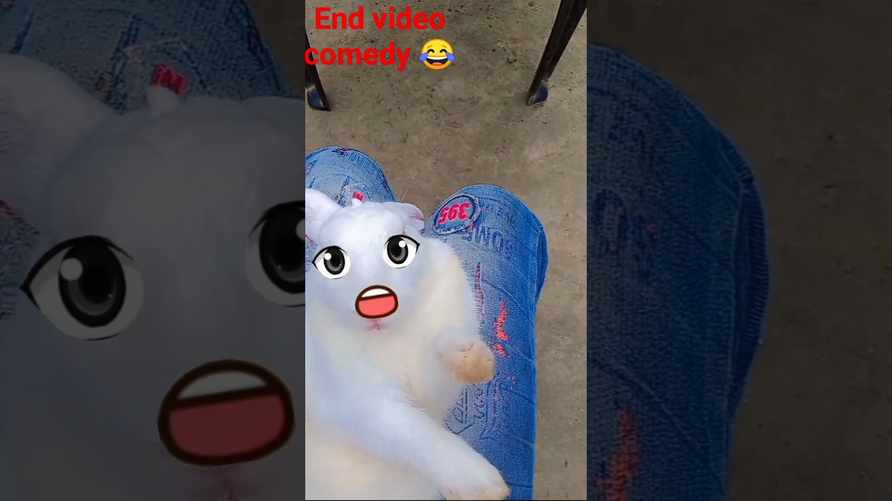 #funny