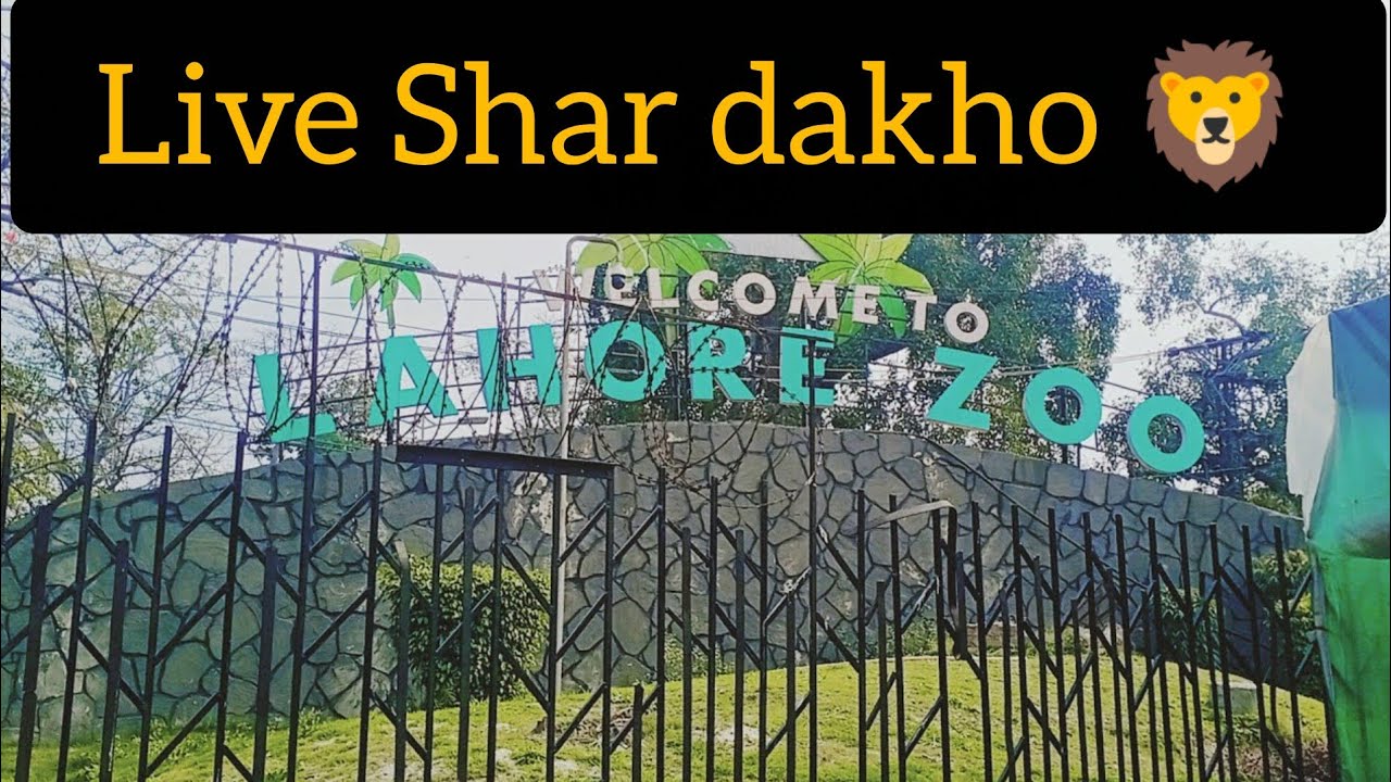 Lahore Zoo llچڑیا گھرll 
