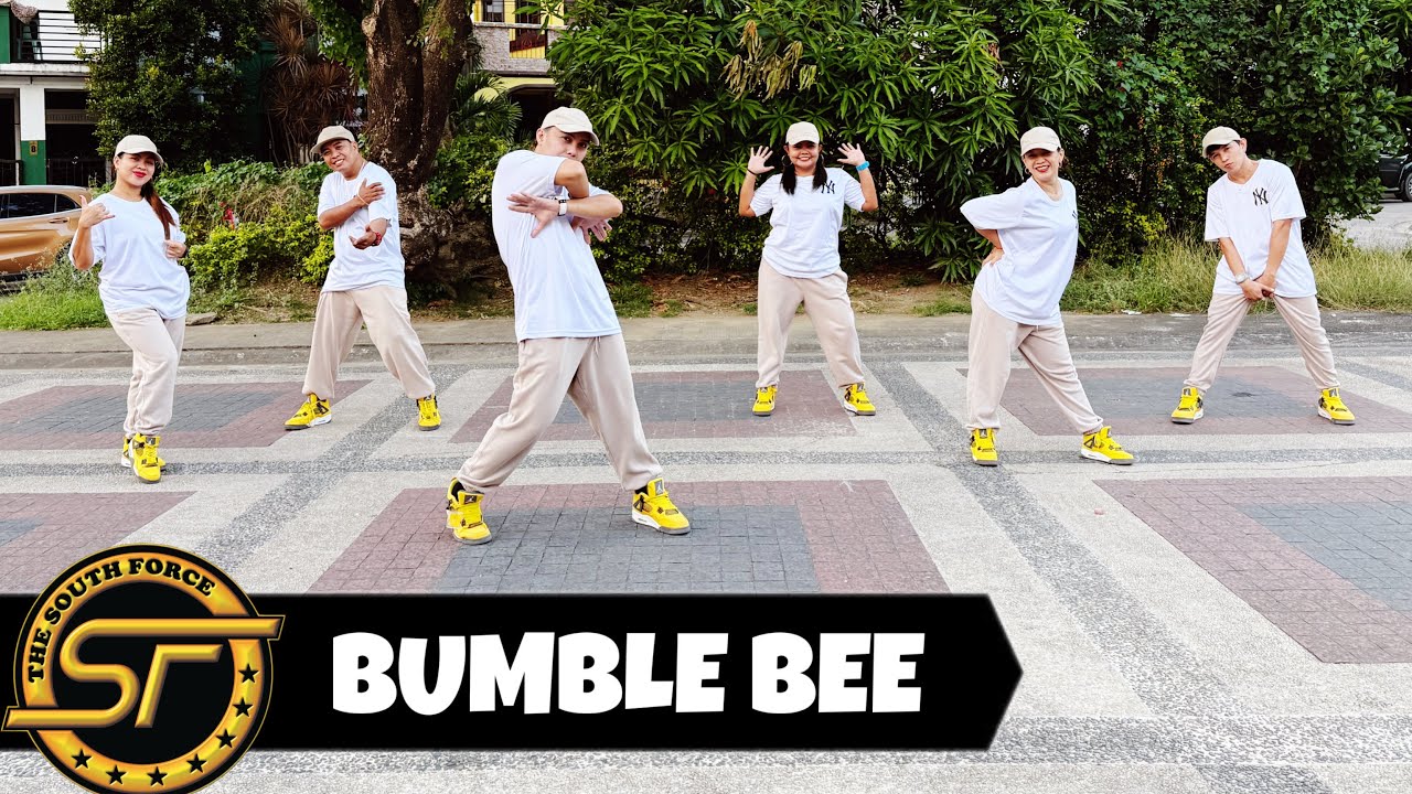 BUMBLE BEE ( Dj Gibz Remix ) - Dance Trends | Dance Fitness | The South Force