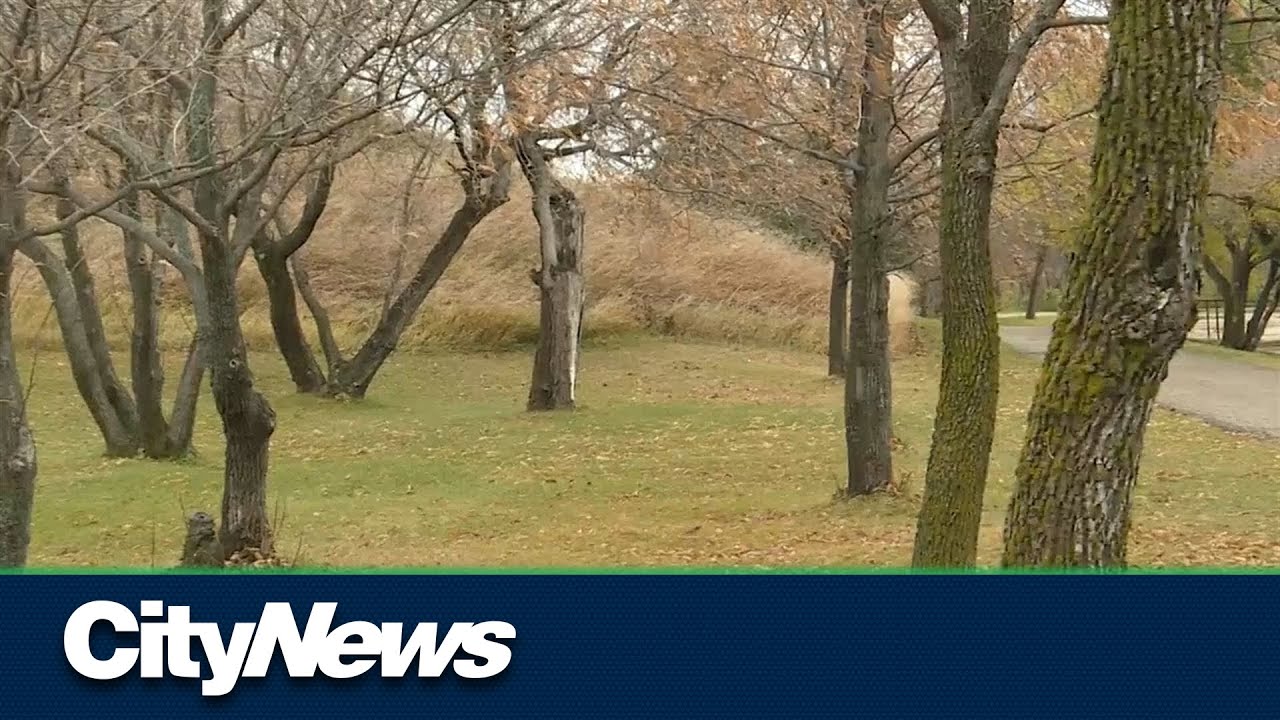 Advocate: Environment should be bigger issue  in Winnipeg election
