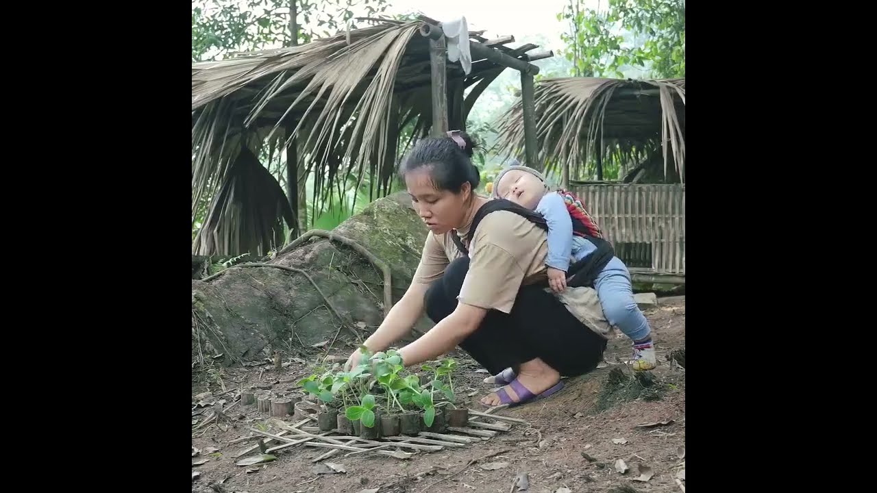 Mother & Daughter Harvest Fresh Vegetables and Make the Most Delicious Cassava Cakes