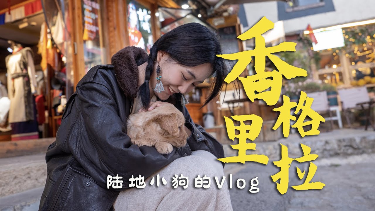 【云南Vlog】与世界失联，在香格里拉做一场梦｜独克宗古城·阿布吉措·纳帕海·松赞林寺·月光广场