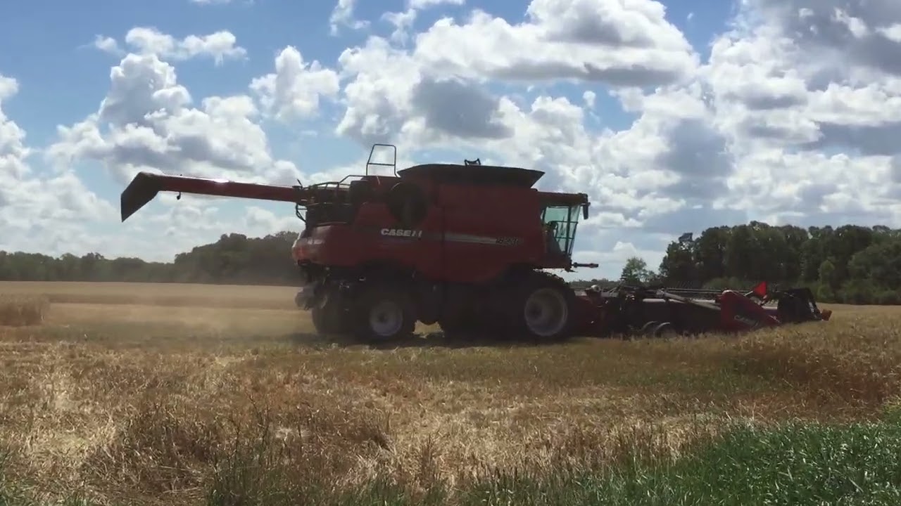 harvest a few years ago.